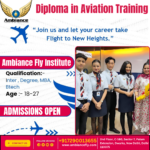 Diploma in Aviation Training Institute, fees