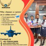 Why choose a career as a cabin crew