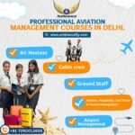 Professional aviation management courses in Delhi.